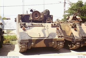 3954406.jpg