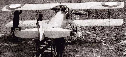 cnp_spad_01